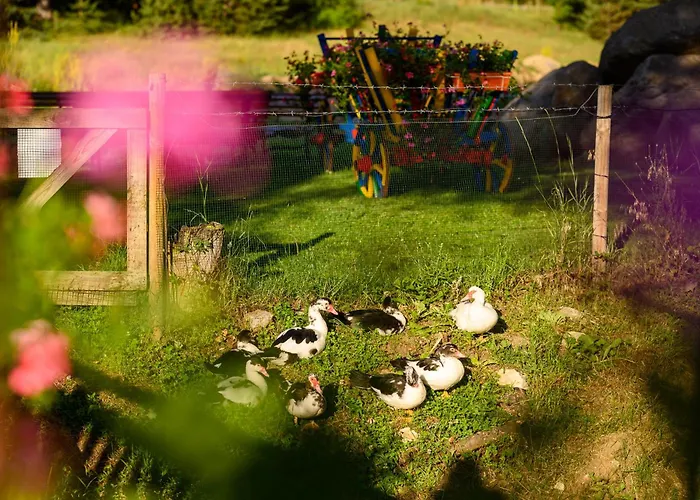 Thermal Велинград